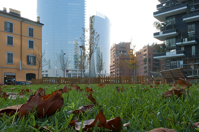 © Gloria Pozzato, Il verde al centro, Milano, 2013