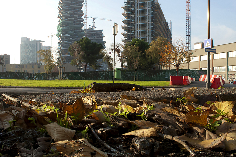 © Gloria Pozzato, Il verde al centro, Milano, 2013