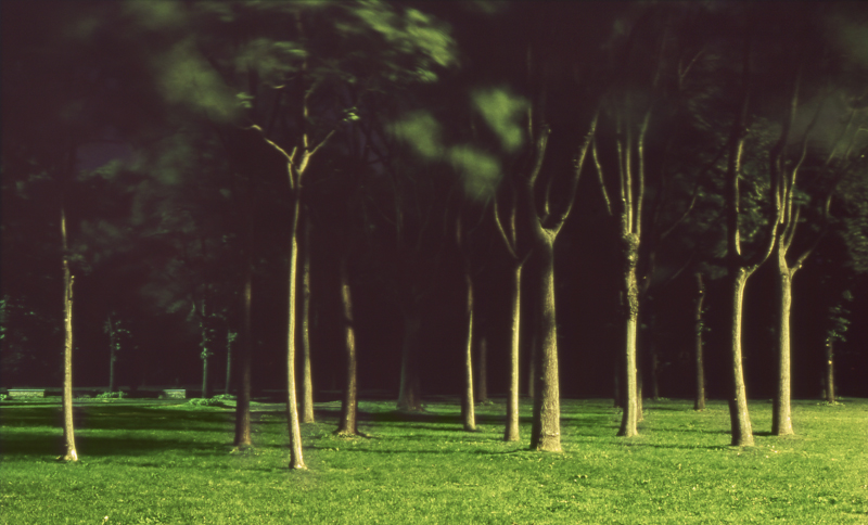 © Daniele Faverzani, 2006-2009, Milano, Parco di Trenno.