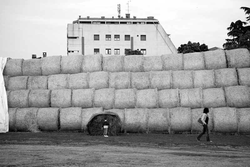 © Matteo Seveso, 2011, Milano - Orizzonti rurali