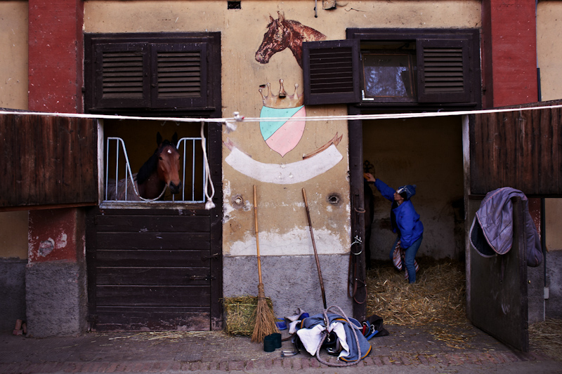 © Marco Casino, 2012, Milano, La morte dell'ippica