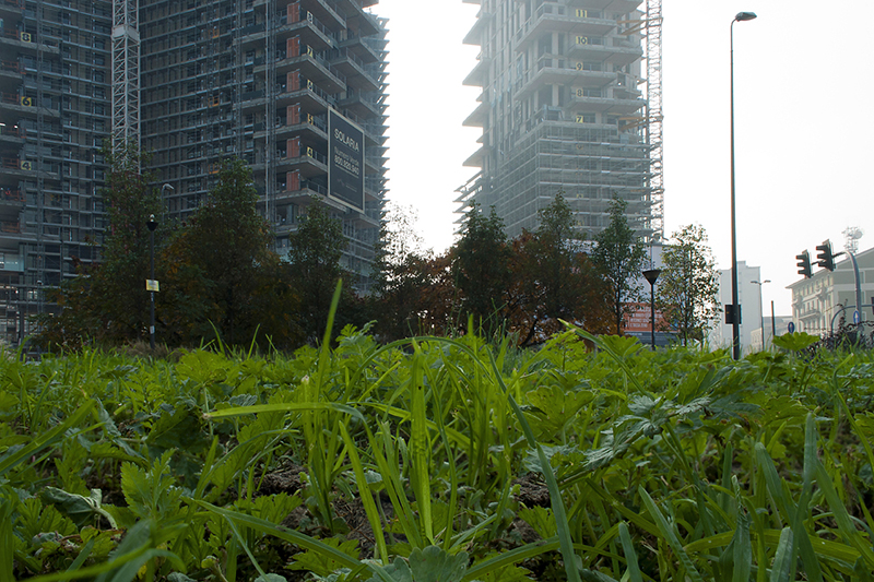 © Gloria Pozzato, Il verde al centro, Milano, 2013