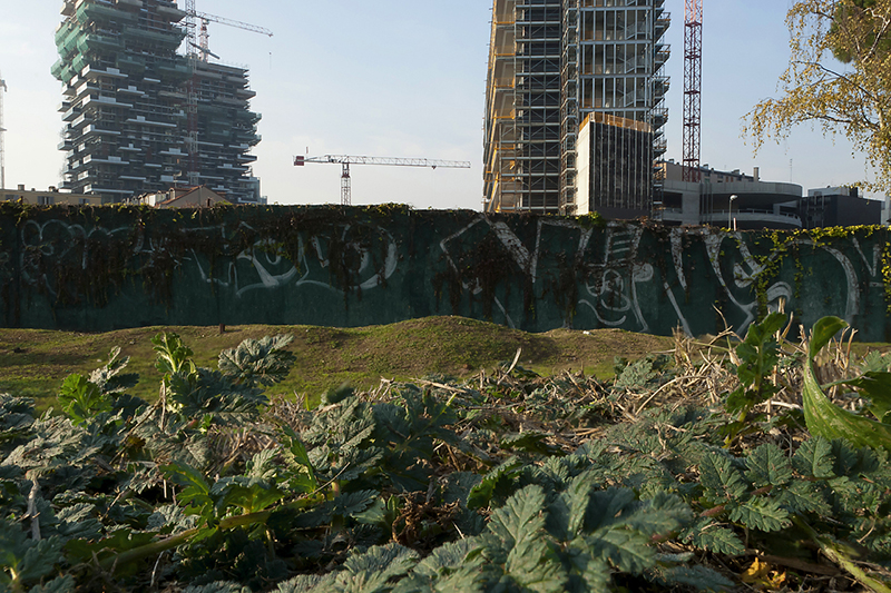 © Gloria Pozzato, Il verde al centro, Milano, 2013