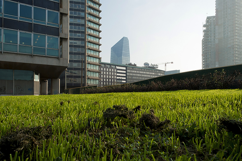 © Gloria Pozzato, Il verde al centro, Milano, 2013