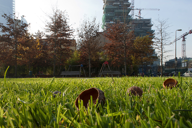 © Gloria Pozzato, Il verde al centro, Milano, 2013