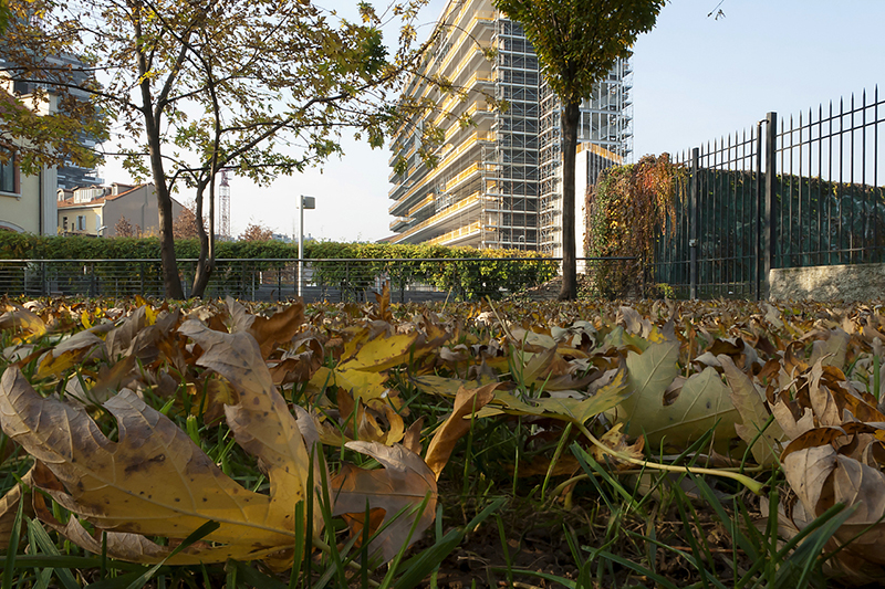 © Gloria Pozzato, Il verde al centro, Milano, 2013