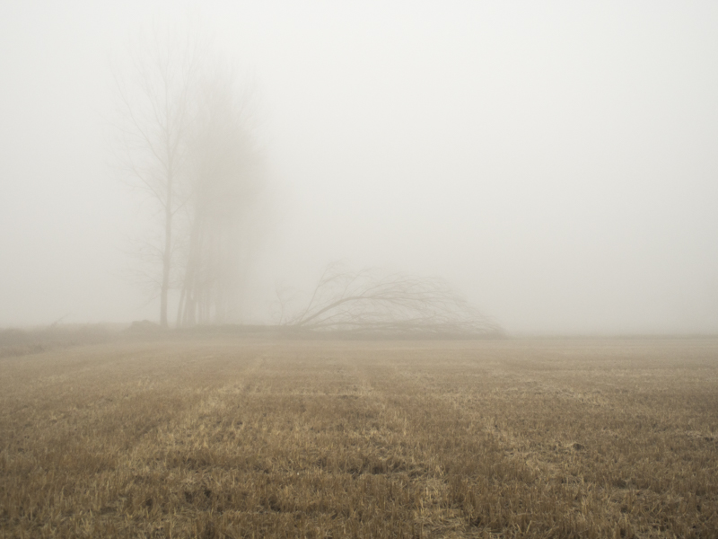 © Matteo Scarpellini, Gradients, Milano 2013