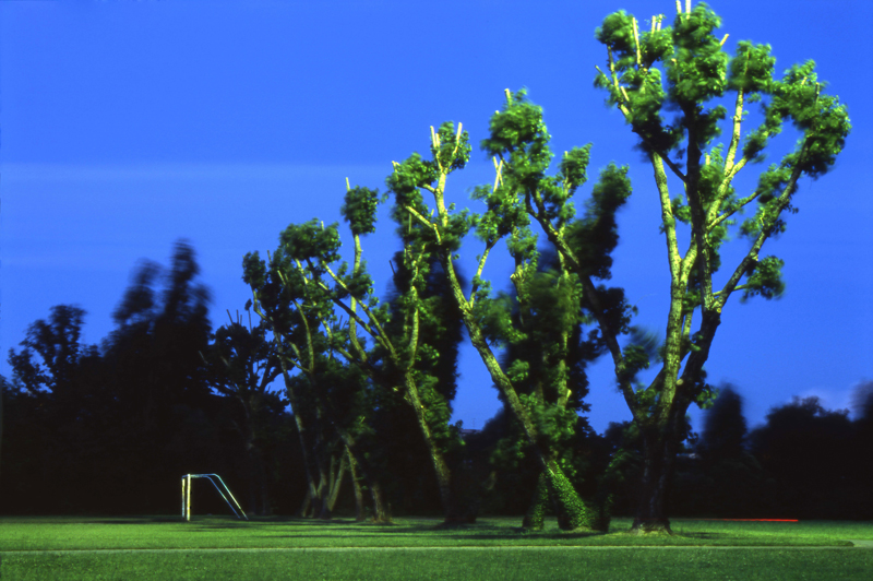 © Daniele Faverzani, 2006-2009, Milano, Parco di Trenno.