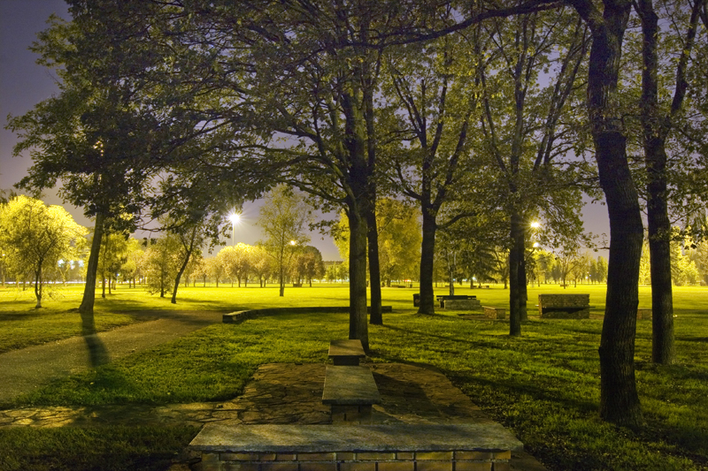 © Daniele Faverzani, 2006-2009, Milano, Parco di Trenno.