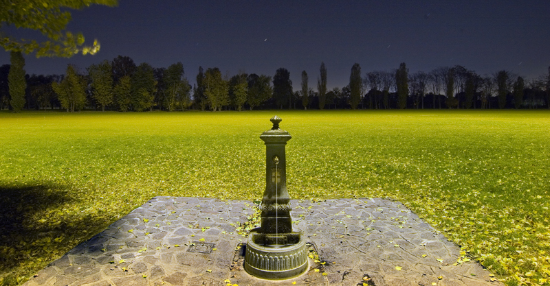 © Daniele Faverzani, 2006-2009, Milano, Parco di Trenno.
