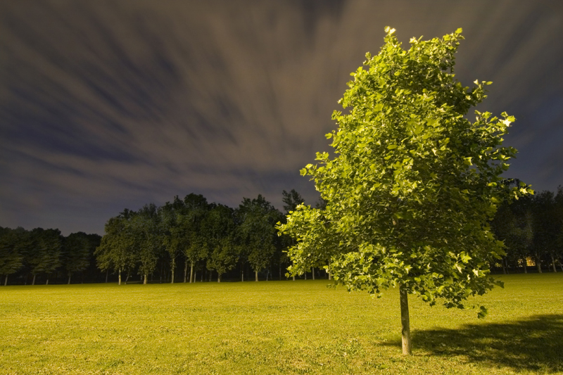 © Daniele Faverzani, 2006-2009, Milano, Parco di Trenno.