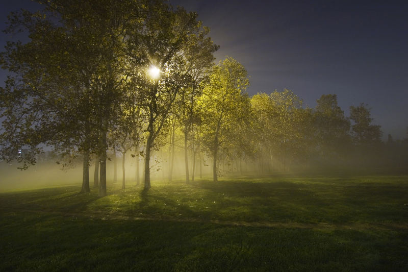 © Daniele Faverzani, 2006-2009, Milano, Parco di Trenno.