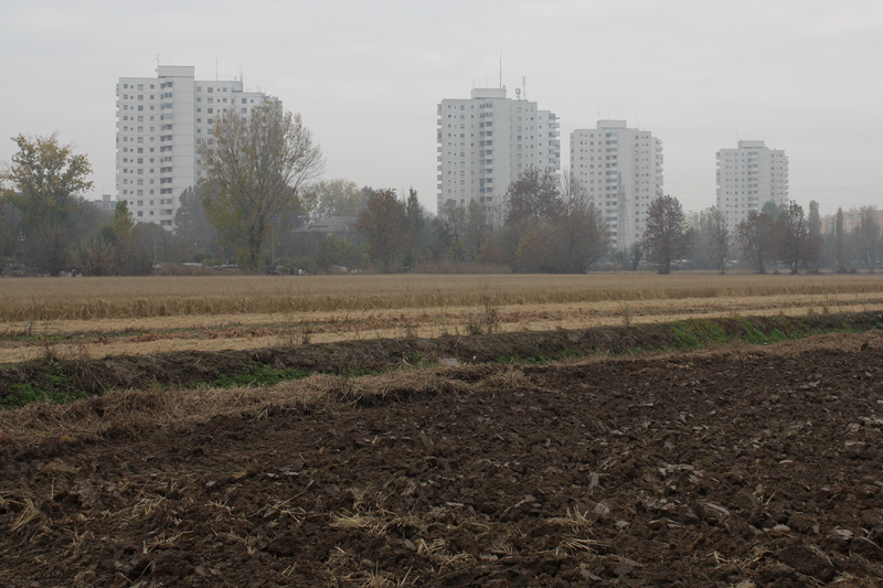 &copy; Riccardo Tarantola, 2011, Milano, Cascine a Milano